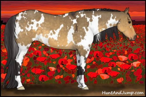 Horse Color:White Spotted Buckskin Dun 