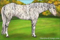 Horse Color:Grullo Sabino Tobiano Varnish  and Silver Brown Dun Sabino Tobiano Varnish 
