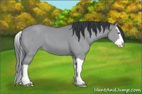 Horse Color:Classic Champagne Chinchilla Splash 