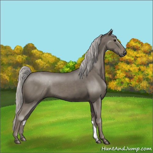 Horse Color:Silver Smoky Black