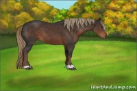 Horse Color:Liver Chestnut
