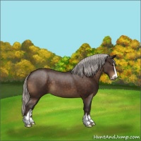 Horse Color:Silver Brown Sabino 