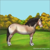 Horse Color:Amber Champagne Onyx Rabicano Brindle 