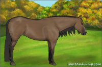 Horse Color:Gray Liver Red Dun 