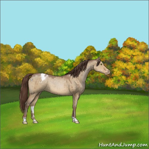 Horse Color:Sable Champagne Dun Varnish Brindle 