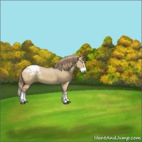 Horse Color:Red Dun Splash Snowcap