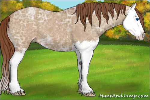 Horse Color:Red Dun Ice Splash 