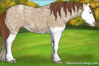 Horse Color:Red Dun Ice Splash 