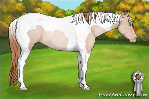 Horse Color:Buckskin Pearl Tobiano Rabicano
