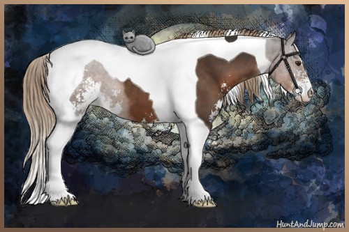 Horse Color:Liver Chestnut Sabino Tobiano 