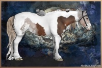Horse Color:Liver Chestnut Sabino Tobiano