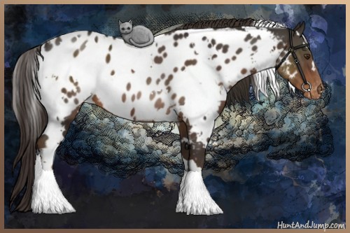 Horse Color:White Spotted Liver Chestnut Blanket