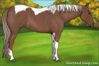 Horse Color:Red Roan Tobiano 