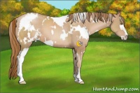 Horse Color:White Spotted Chestnut Pearl Sabino