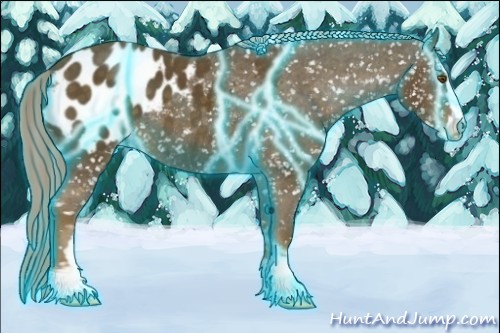 Horse Color:Thunderstruck Chocolate Palomino Sabino Appaloosa 