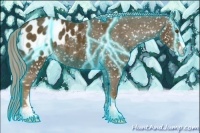 Horse Color:Thunderstruck Chocolate Palomino Sabino Appaloosa 