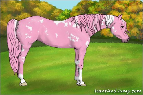 Horse Color:Watercolor White Spotted Smoky Black 