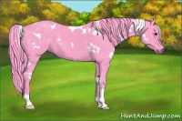 Horse Color:Watercolor White Spotted Smoky Black 