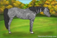 Horse Color:Black Ice Rabicano