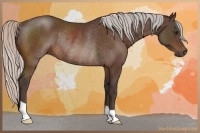 Horse Color:Silver Brown Rabicano 