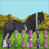 Horse Color:White Spotted Black Tobiano 