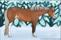Horse Color:Silver Bay Sabino 