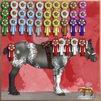 Horse Color:White Spotted Black