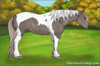 Horse Color:Silver Black Sabino Tobiano 