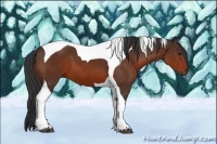 Horse Color:Brown Sabino Tobiano