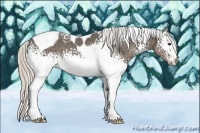 Horse Color:White Spotted Silver Black Tobiano 