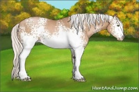 Horse Color:White Spotted Silver Brown Pearl