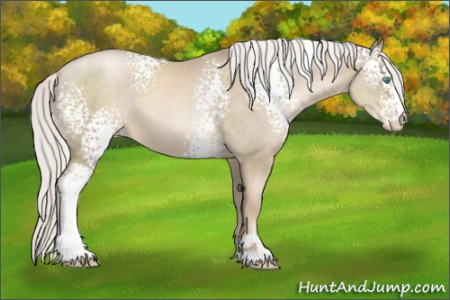 Horse Color:White Spotted Silver Smoky Black Pearl Sabino 