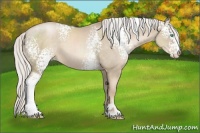 Horse Color:White Spotted Silver Smoky Black Pearl Sabino