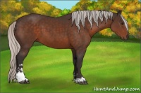 Horse Color:Silver Brown Sabino 
