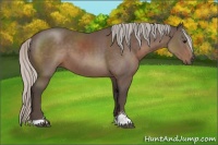 Horse Color:Silver Black Sabino 