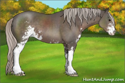 Horse Color:Silver Black Sabino 