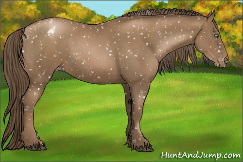 Horse Color:Black Pearl Snowflake Varnish