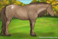 Horse Color:Black Pearl Snowflake Varnish