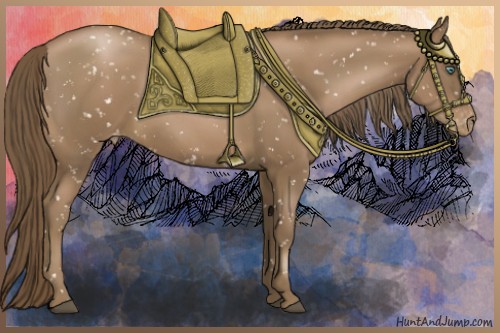 Horse Color:Black Pearl Appaloosa 