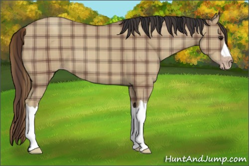 Horse Color:Plaid  Classic Champagne 