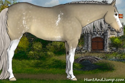 Horse Color:White Spotted Silver Brown Dun 