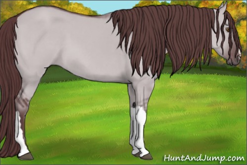 Horse Color:Chocolate Smoky Grullo Chinchilla