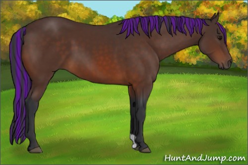 Horse Color:Painted Brown 