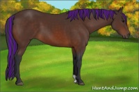 Horse Color:Painted Brown 