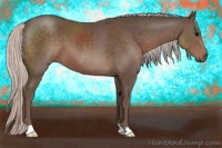 Horse Color:Silver Black 