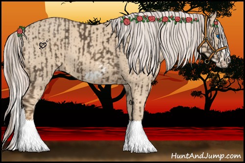 Horse Color:Chocolate Palomino Splash Frame  and Cremello Splash Frame 