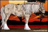 Horse Color:Chocolate Palomino Splash Frame  and Cremello Splash Frame 