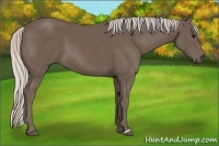 Horse Color:Silver Black 