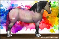 Horse Color:Brown Roan Dun Sabino 