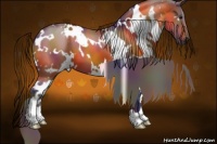Horse Color:Nacre White Spotted Bay 